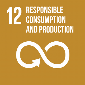 Goal 12 Responsible consumption and production