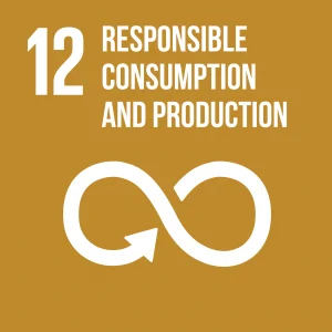 Goal 12 Responsible consumption and production