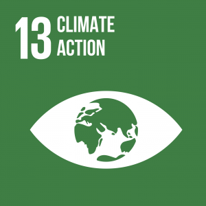 Goal 13 Climate action