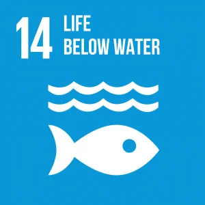 Goal 14 Life below water