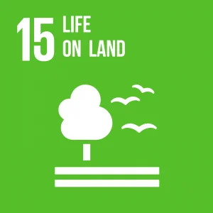Goal 15 Life on land