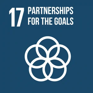 Goal 17 Partnerships for the goals