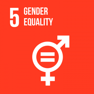 Goal 5 Gender equality