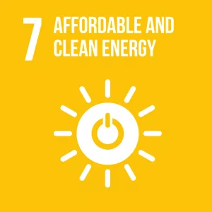 Goal 7 Affordable and clean energy
