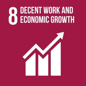 Goal 8 Decent work and economic growth