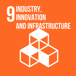 Goal 9 Industry, innovation and infrastructure