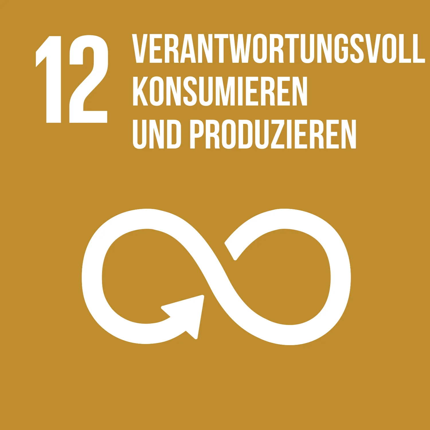 Ziel 12 verantwortungsvoll konsumieren und produzieren