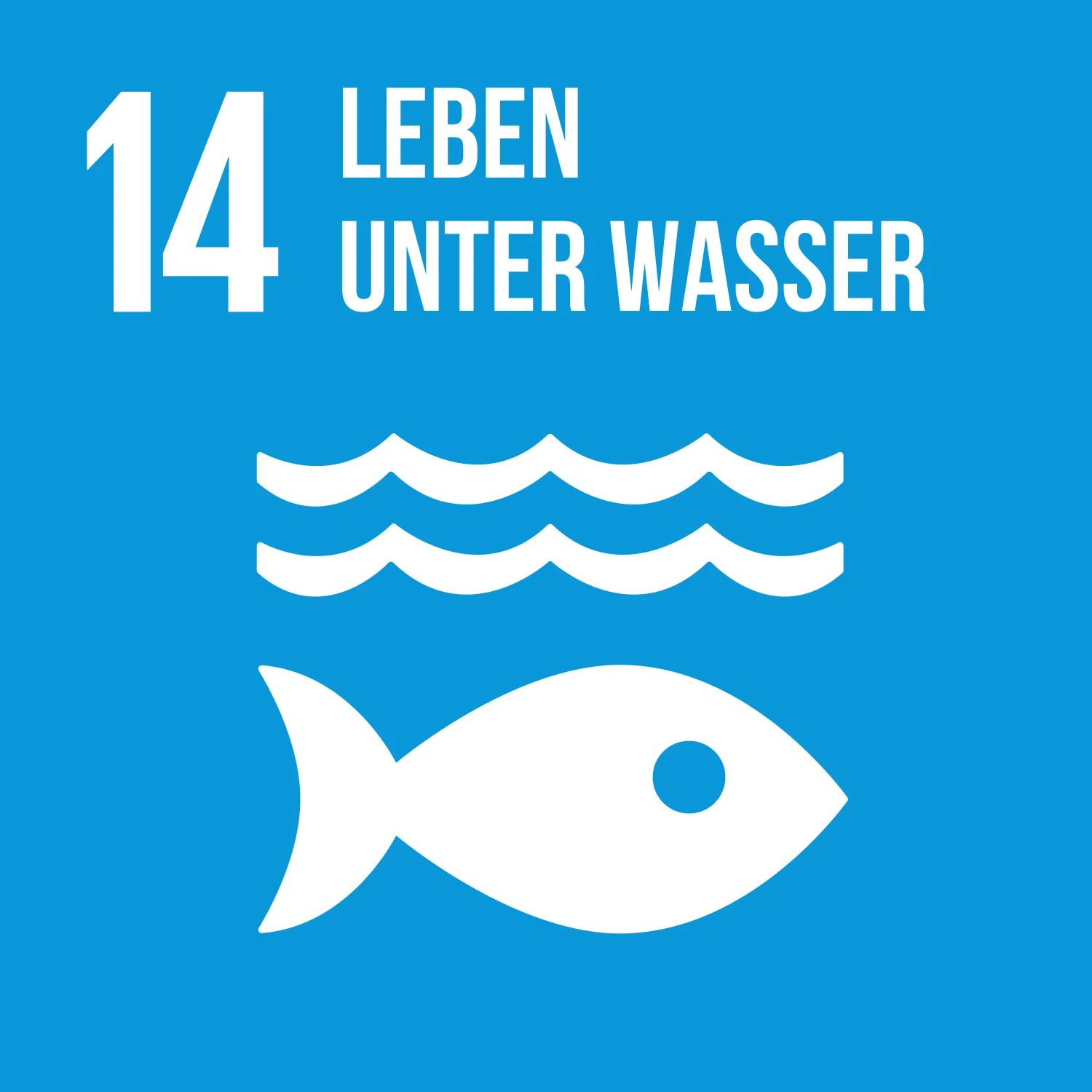 Ziel 14 Leben unter Wasser