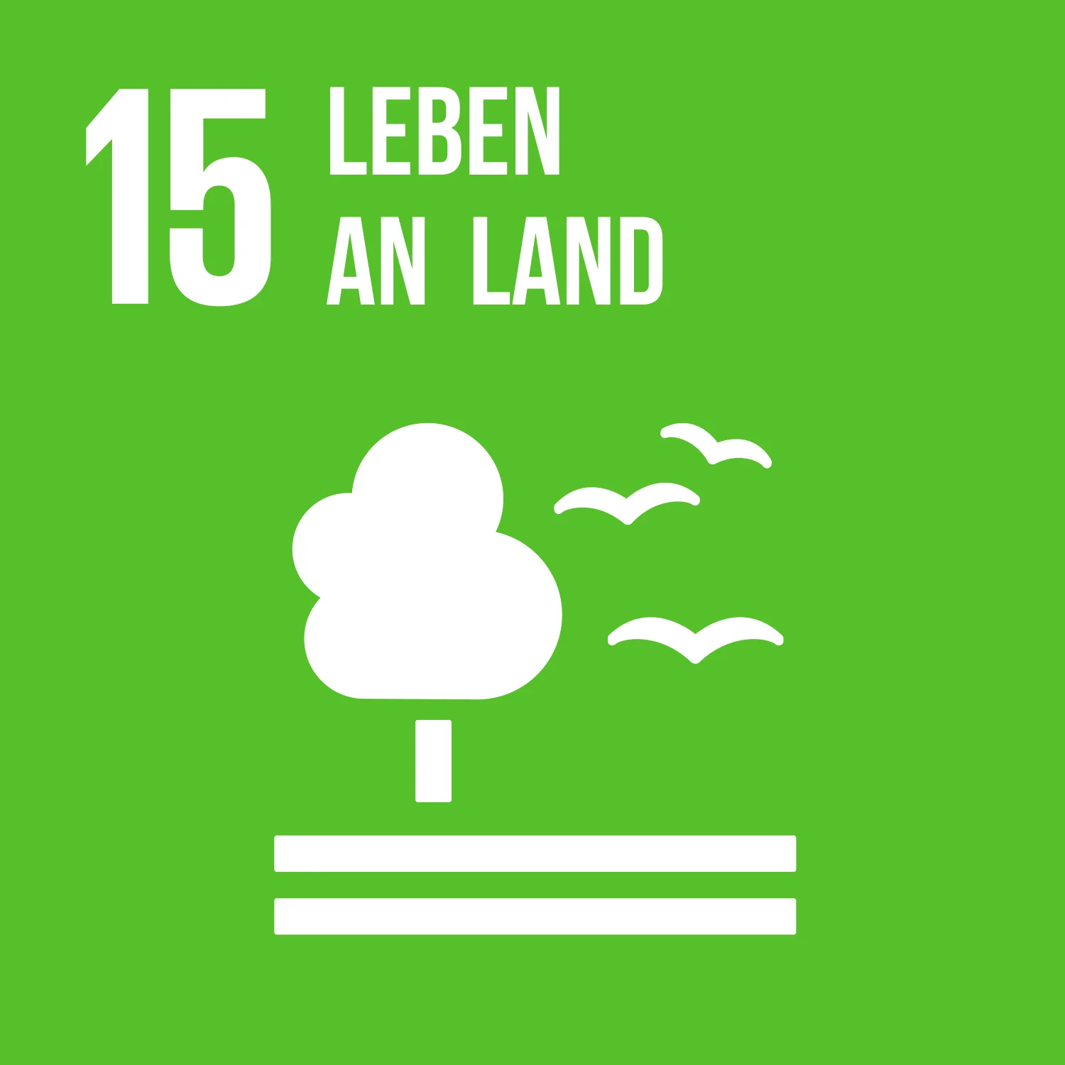 Ziel 15 Leben an Land