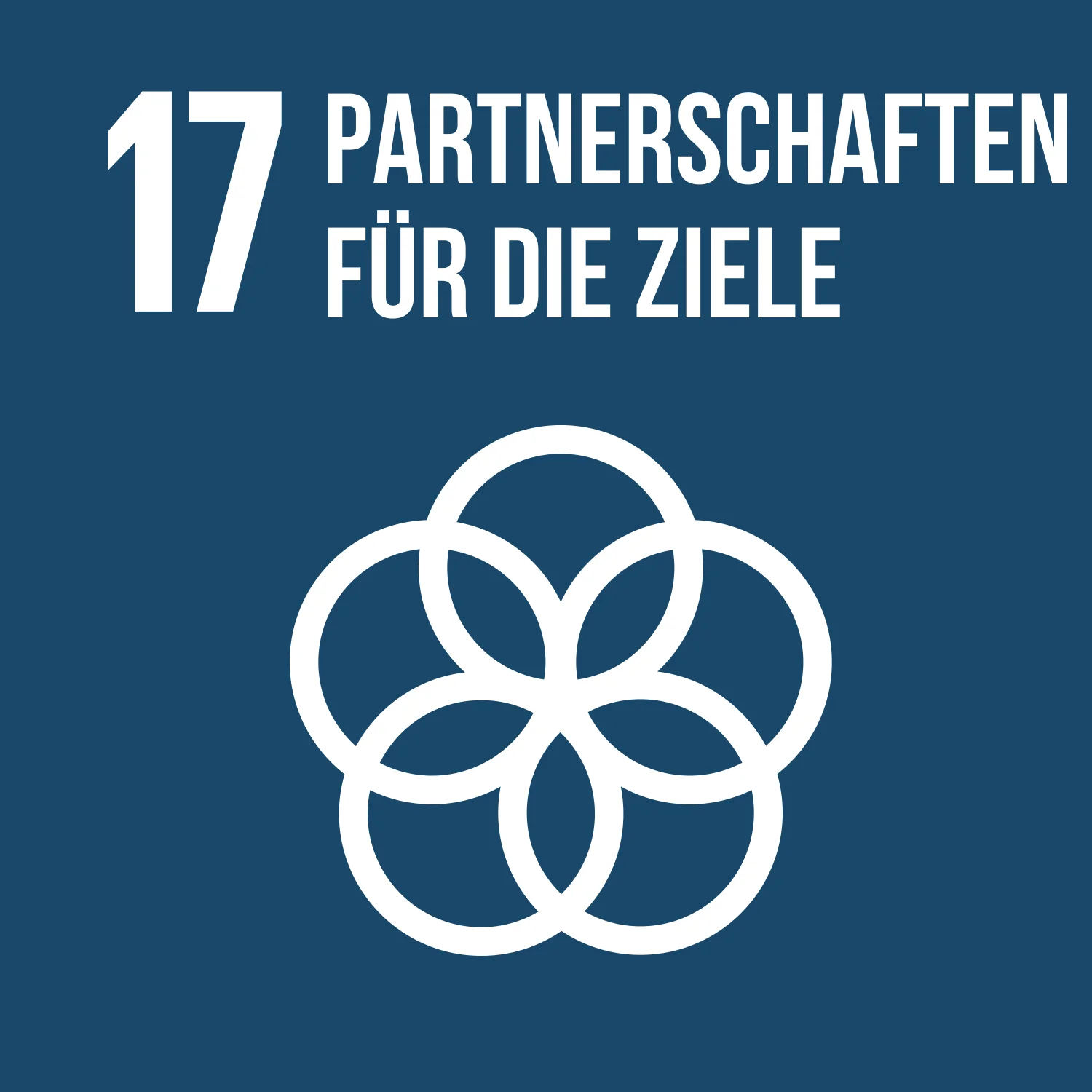 Ziel 17 Partnerschaften für die Ziele